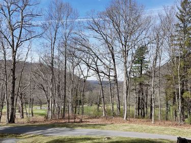 61 & 62 OLD COURSE TRAIL, HOT SPRINGS, VA 24445