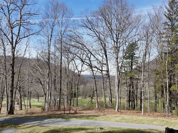 61 & 62 OLD COURSE TRAIL, HOT SPRINGS, VA 24445