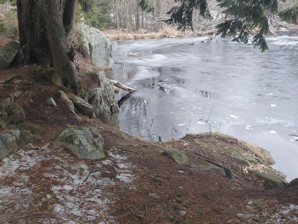 234 Cranberry Pond Road, Cropseyville, NY 12052