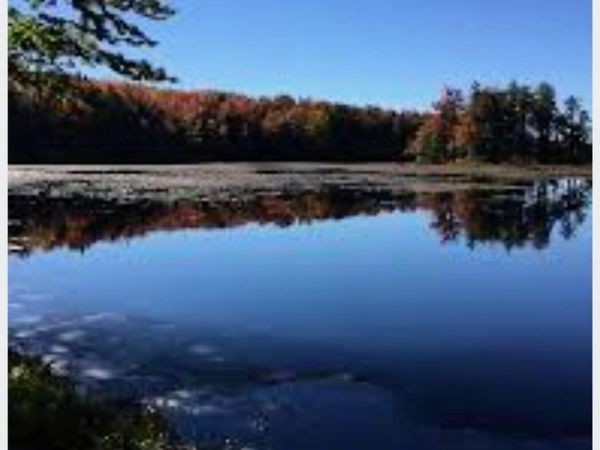 234 Cranberry Pond Road, Cropseyville, NY 12052