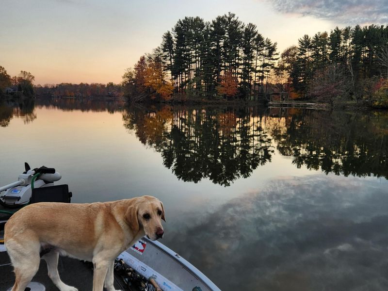 7326 State Route 19, Unit Unit 1 - L, Mount Gilead, OH 43338 Photo 6