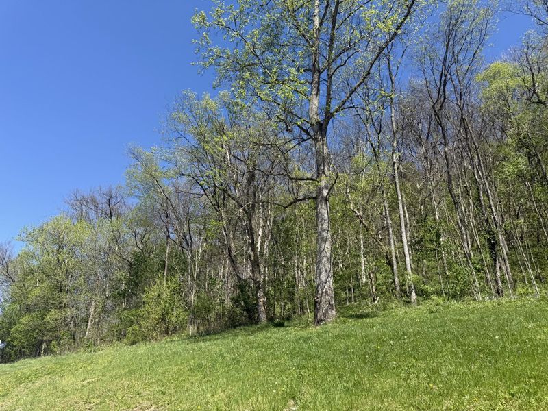 59 E Prong Locust Road, Milton, KY 40045 Photo 6