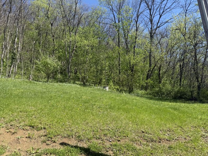 59 E Prong Locust Road, Milton, KY 40045 Photo 7