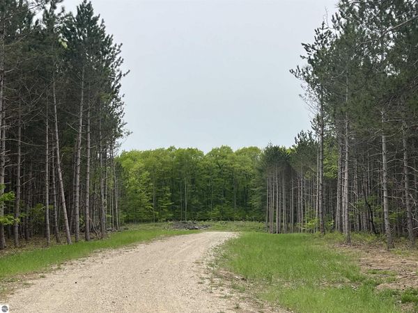 Theron Road, Traverse City, MI 49685