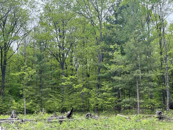 Theron Road, Traverse City, MI 49685