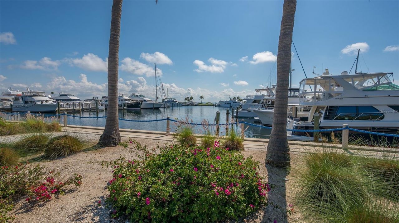 1932 Harbourside Drive, Unit 244, Longboat Key, FL 34228 Photo