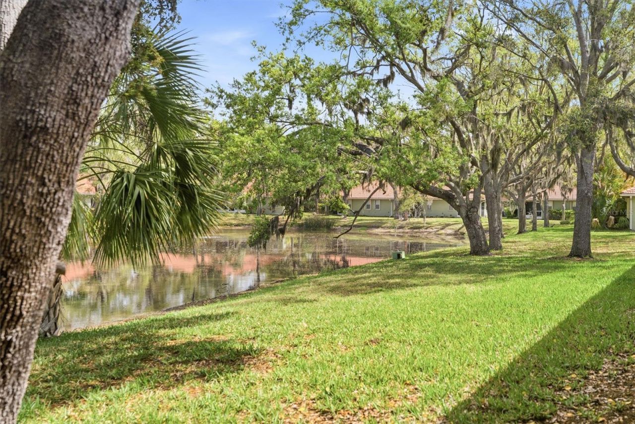 132 51st Street Circle E, Palmetto, FL 34221 Photo