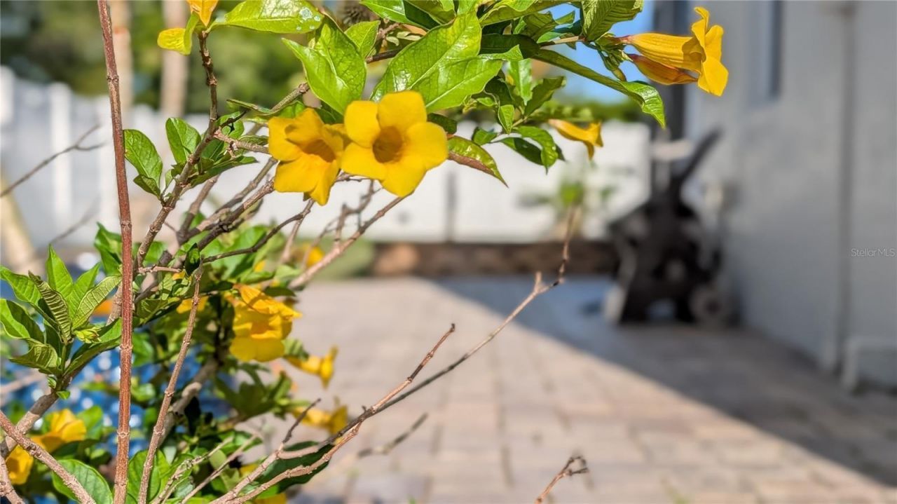 23340 Painter Avenue, Port Charlotte, FL 33954 Photo