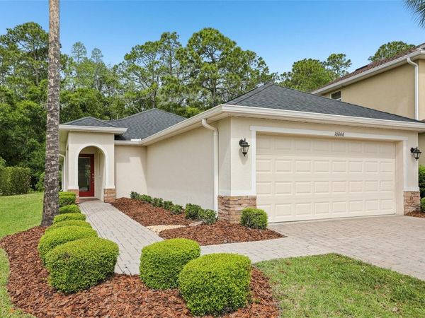 16066 BELLA WOODS DRIVE, TAMPA, FL 33647