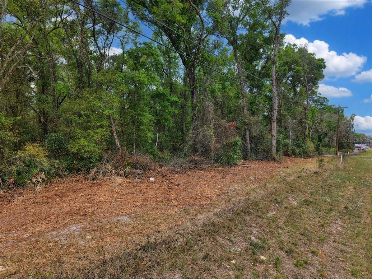 000 NW Us Hwy 19 , Fanning Springs, FL 32693 Photo