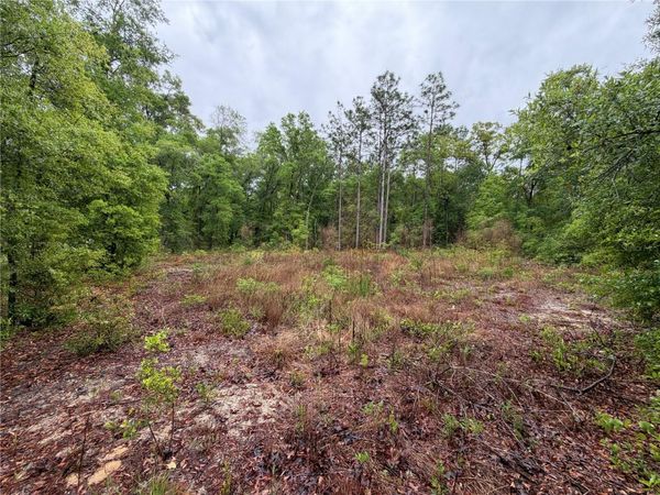 301 RAINBOW DRIVE , HAWTHORNE, FL 32640