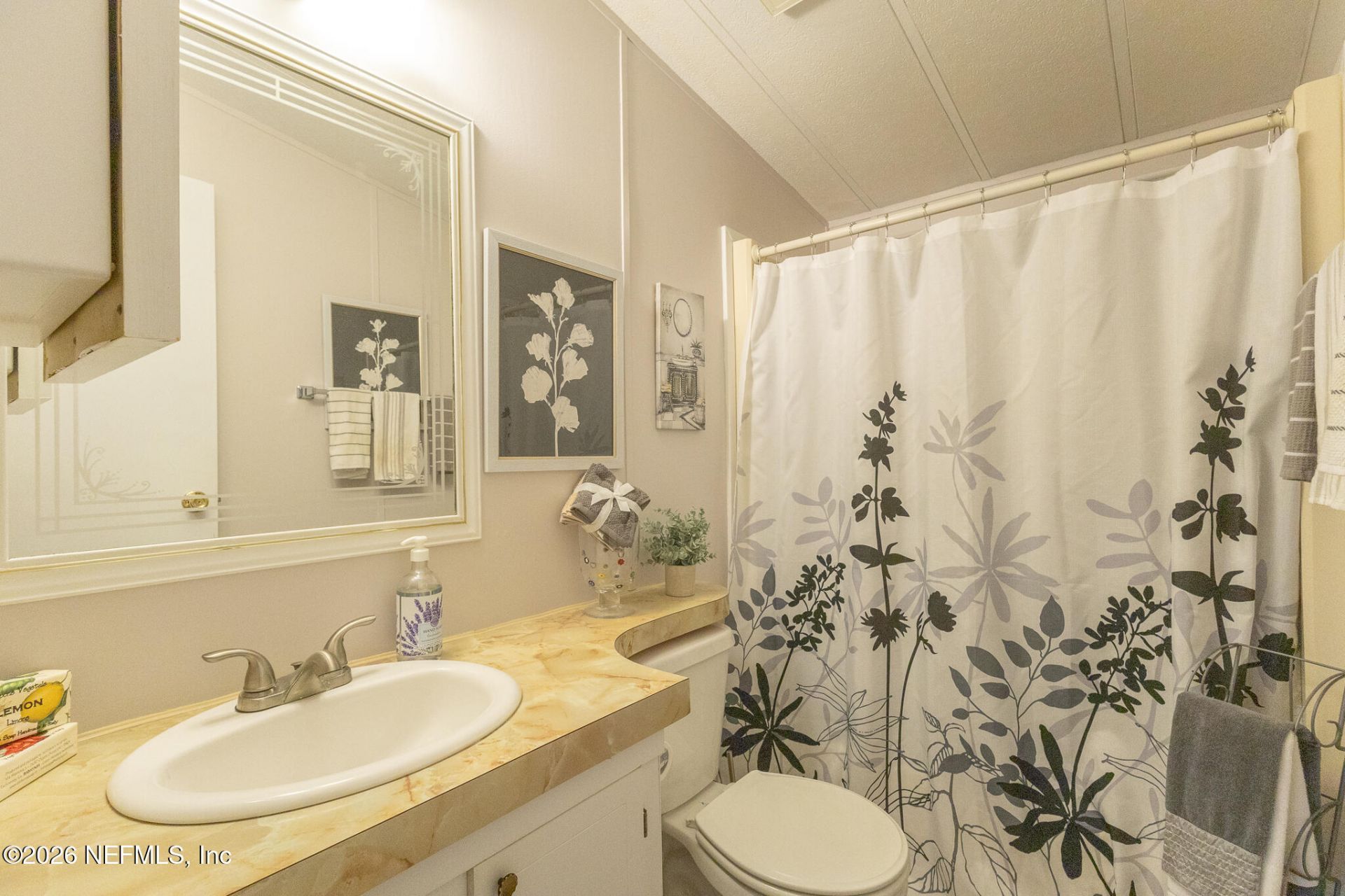 109 Bayou Drive, Satsuma, FL 32189 Photo