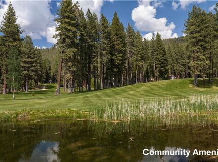 2147 The Back Road , Glenbrook, NV 89413 Photo