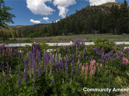 2147 The Back Road , Glenbrook, NV 89413 Photo