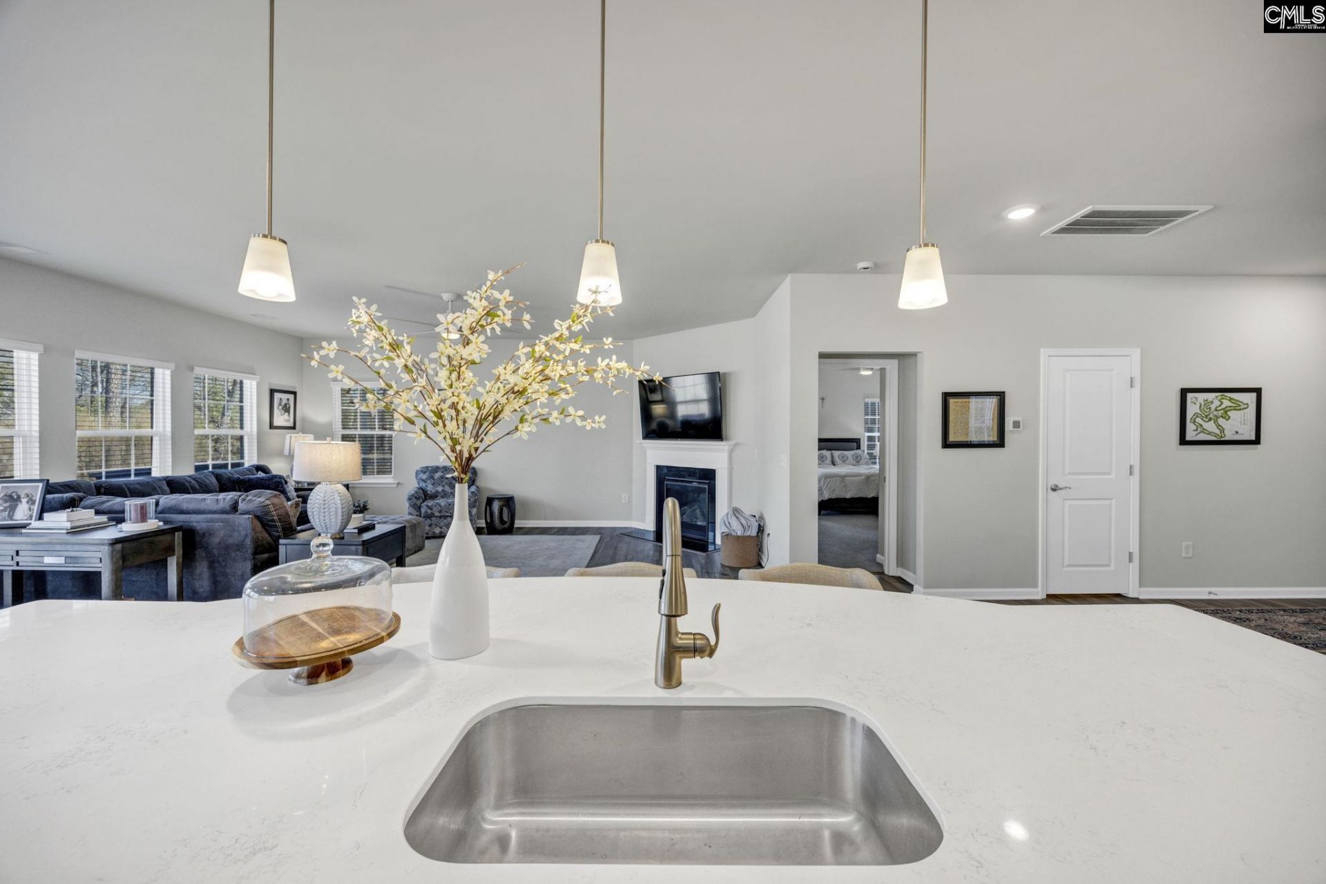 409 Layup Circle  Photo 11