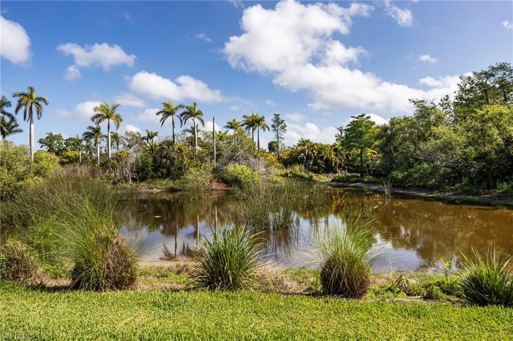 1287 Manado Dr, Naples, FL 34113 Photo