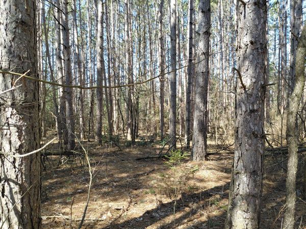 V/L E Pine Hill Avenue, White Cloud, MI 49349