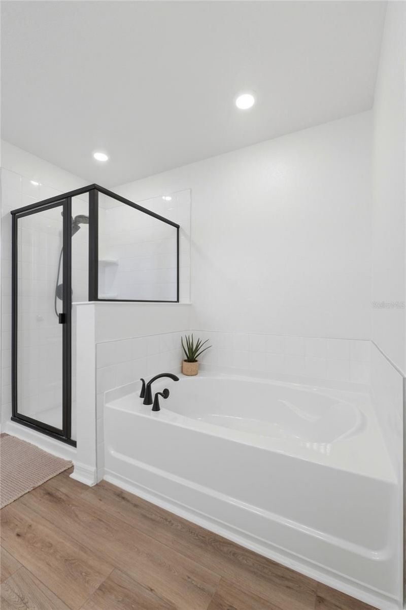 3393 Rolling Plains Circle, Clermont, FL 34714 Photo