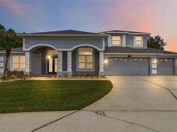 19120 MANDARIN GROVE PLACE , TAMPA, FL 33647