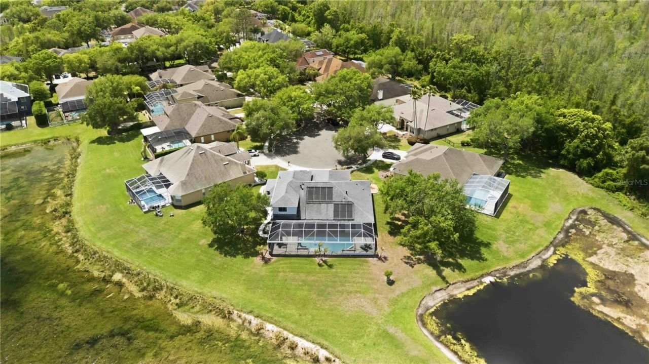 19120 Mandarin Grove Place , Tampa, FL 33647 Photo