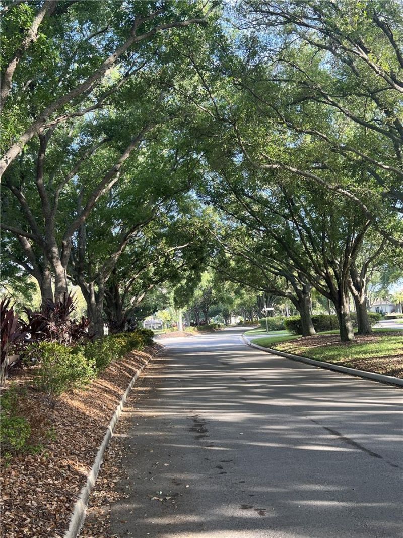 360 Cedarbrook Court, Venice, FL 34292 Photo