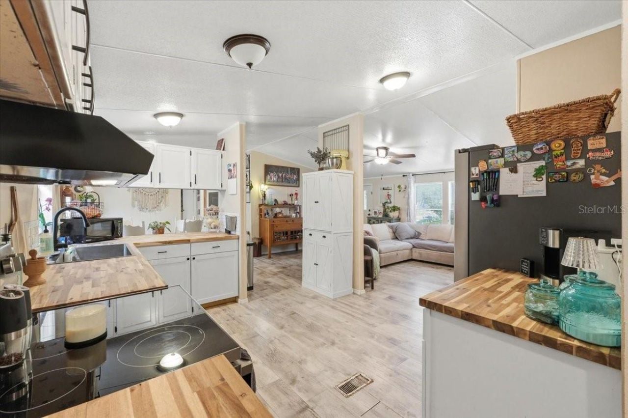 4810 Myrtle View Drive N, Mulberry, FL 33860 Photo