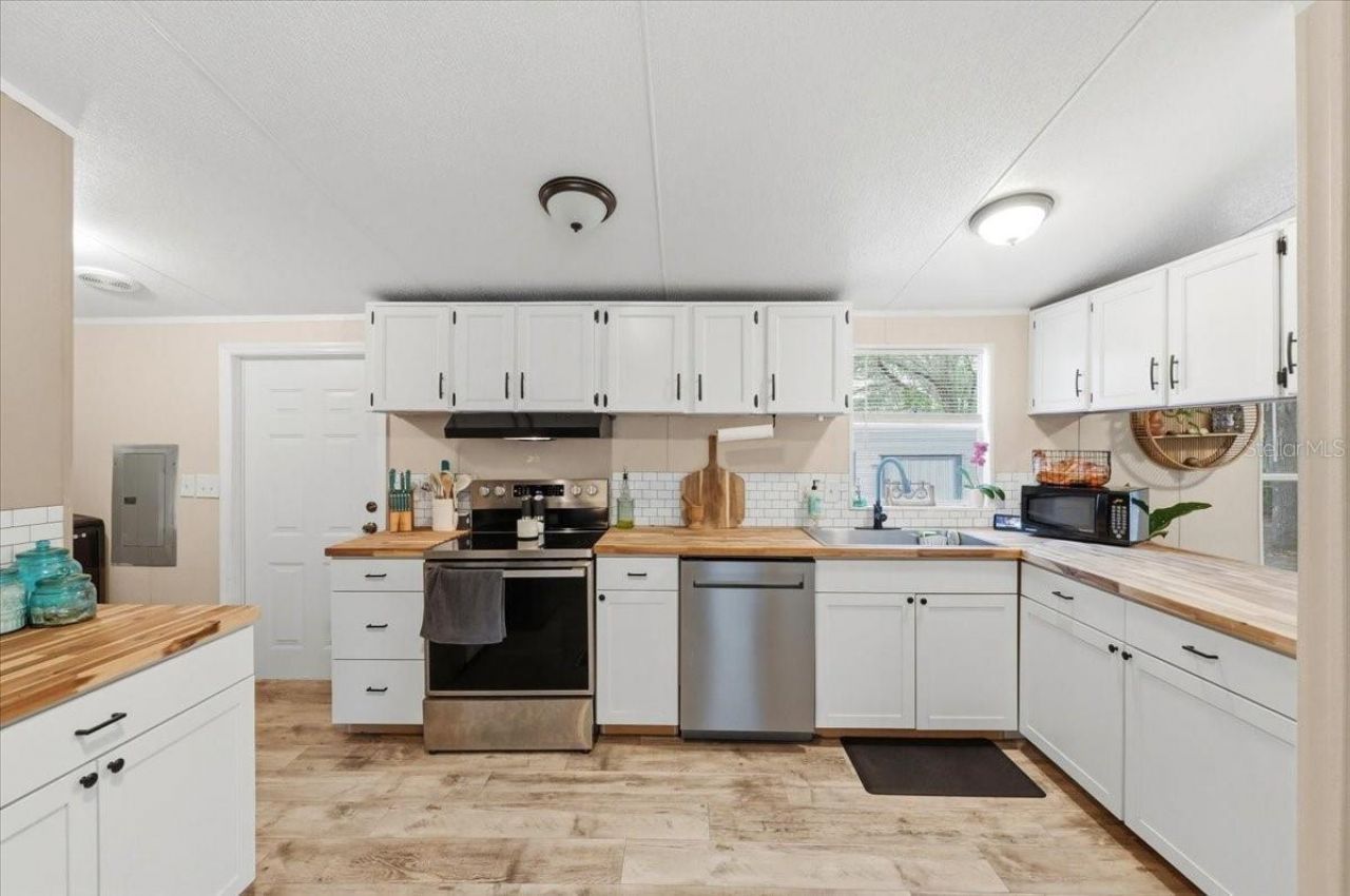 4810 Myrtle View Drive N, Mulberry, FL 33860 Photo