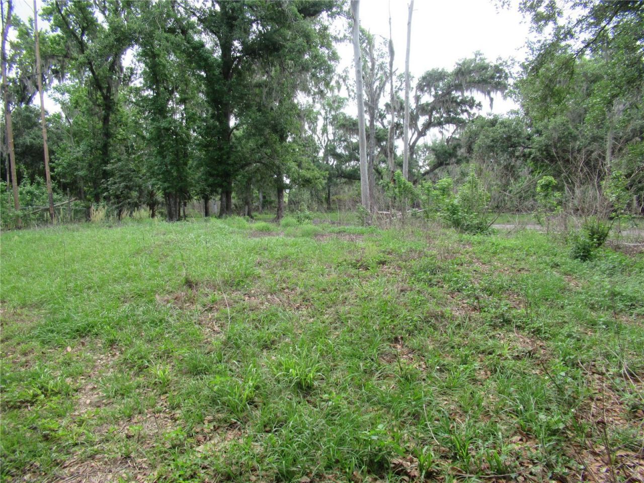 7814 Turkey Creek Road, Plant City, FL 33567 Photo