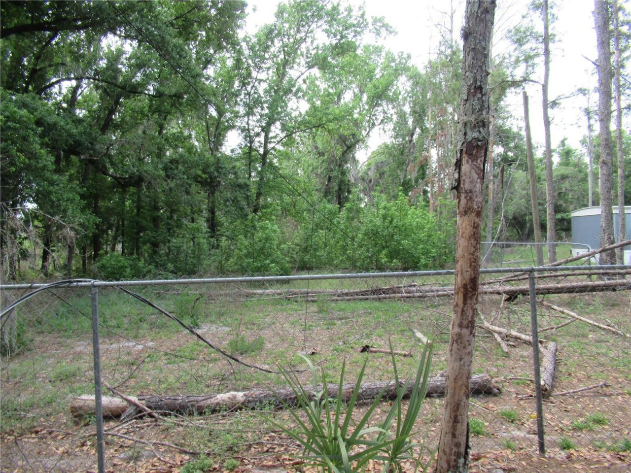 7814 Turkey Creek Road, Plant City, FL 33567 Photo