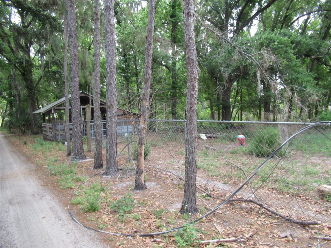 7814 Turkey Creek Road, Plant City, FL 33567 Photo