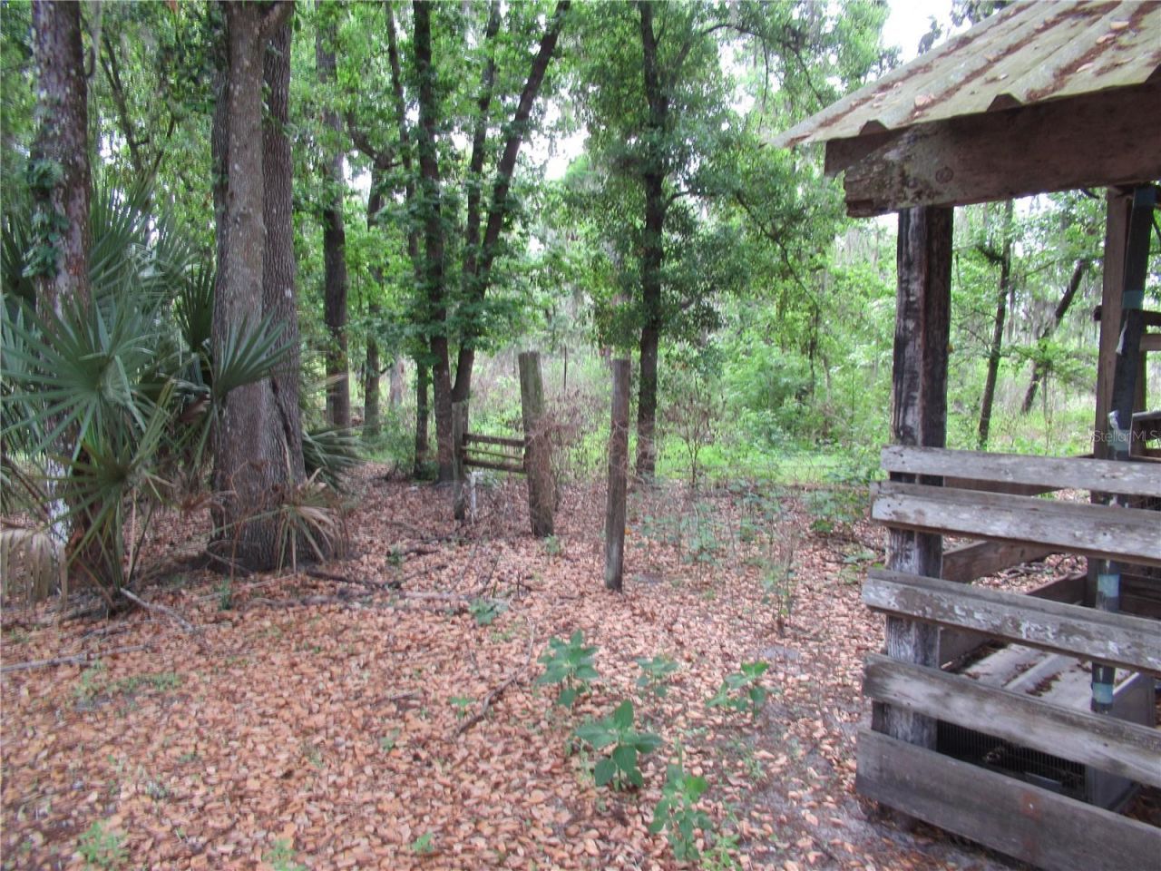 7814 Turkey Creek Road, Plant City, FL 33567 Photo