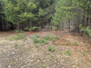 7131 Maple Drive, Glenfield, NY 13343