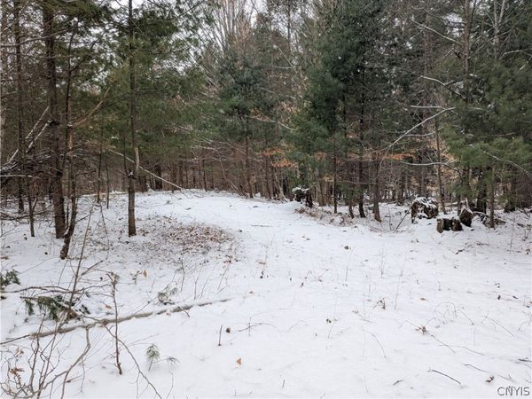 7131 Maple Drive, Glenfield, NY 13343