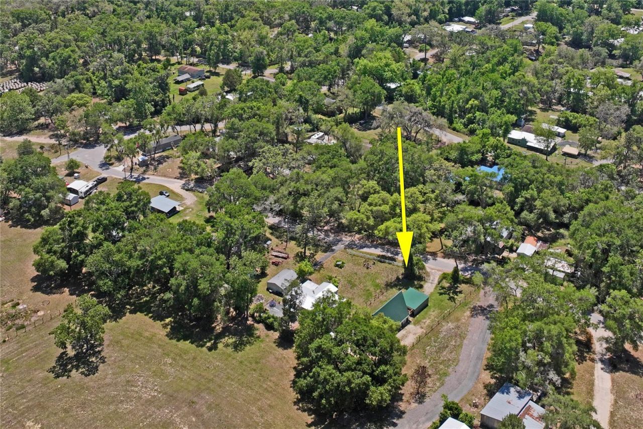 9366 Cr 649, Bushnell, FL 33513 Photo