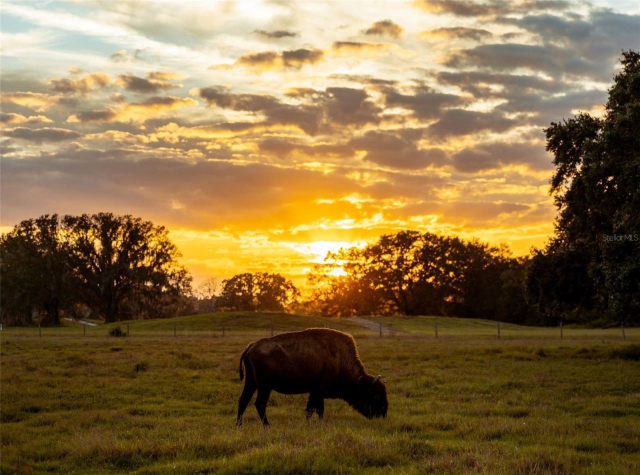 161 Horseshoe Bend , River Ranch, FL 33867 Photo