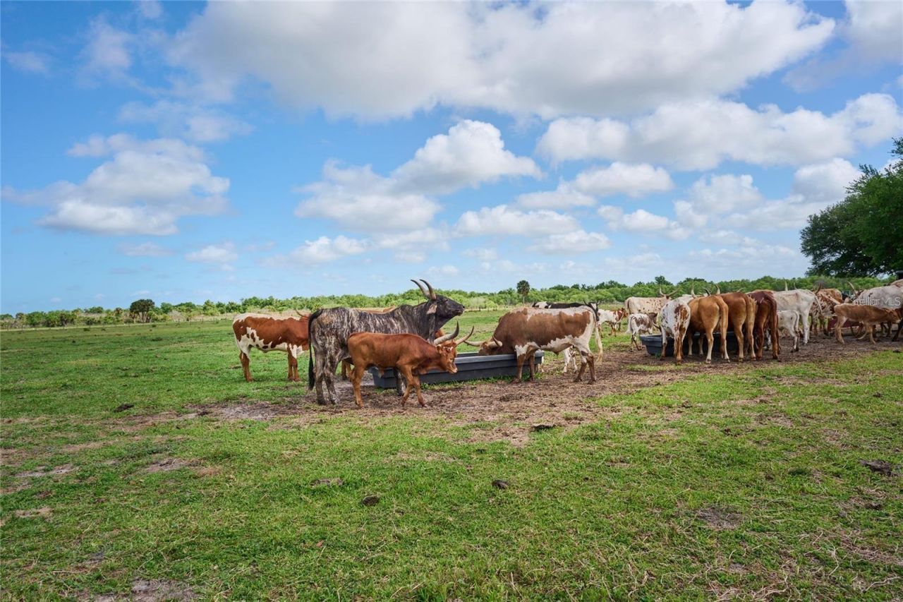 161 Horseshoe Bend, River Ranch, FL 33867 Photo