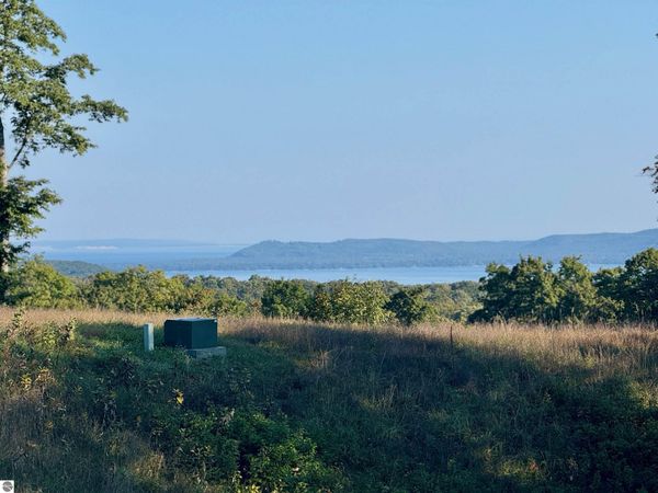 Timber Wolf Court W, Empire, MI 49630