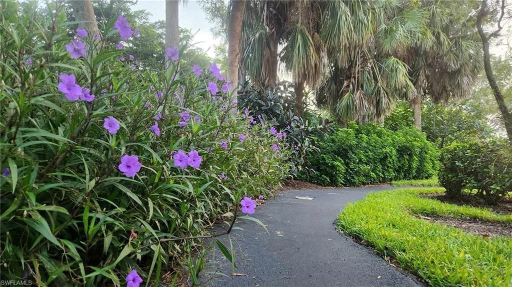 23821 Marbella Bay Rd, Unit 102, Estero, FL 34135 Photo