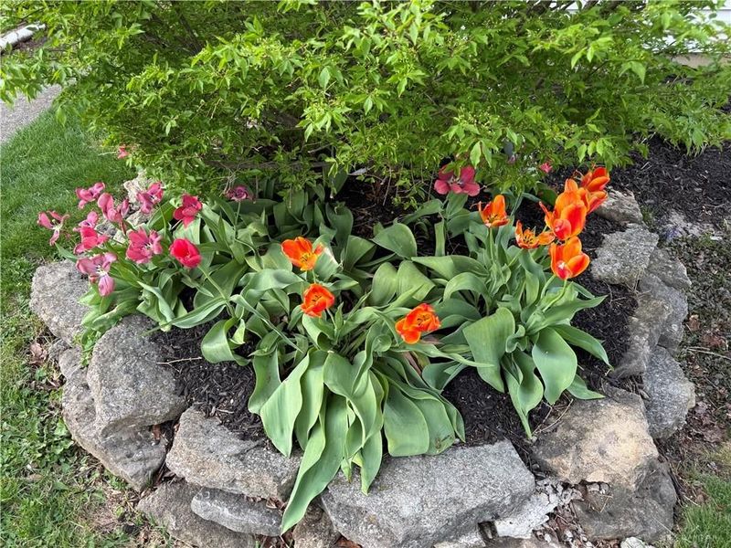 61 Martha Avenue, Centerville, OH 45458 Photo 24