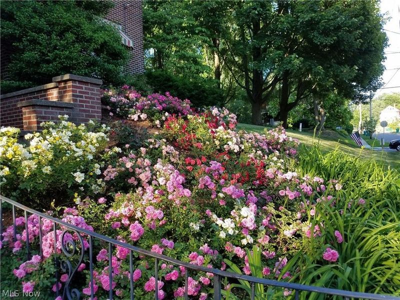 900 Quinby Avenue , Wooster, OH 44691 Photo 44