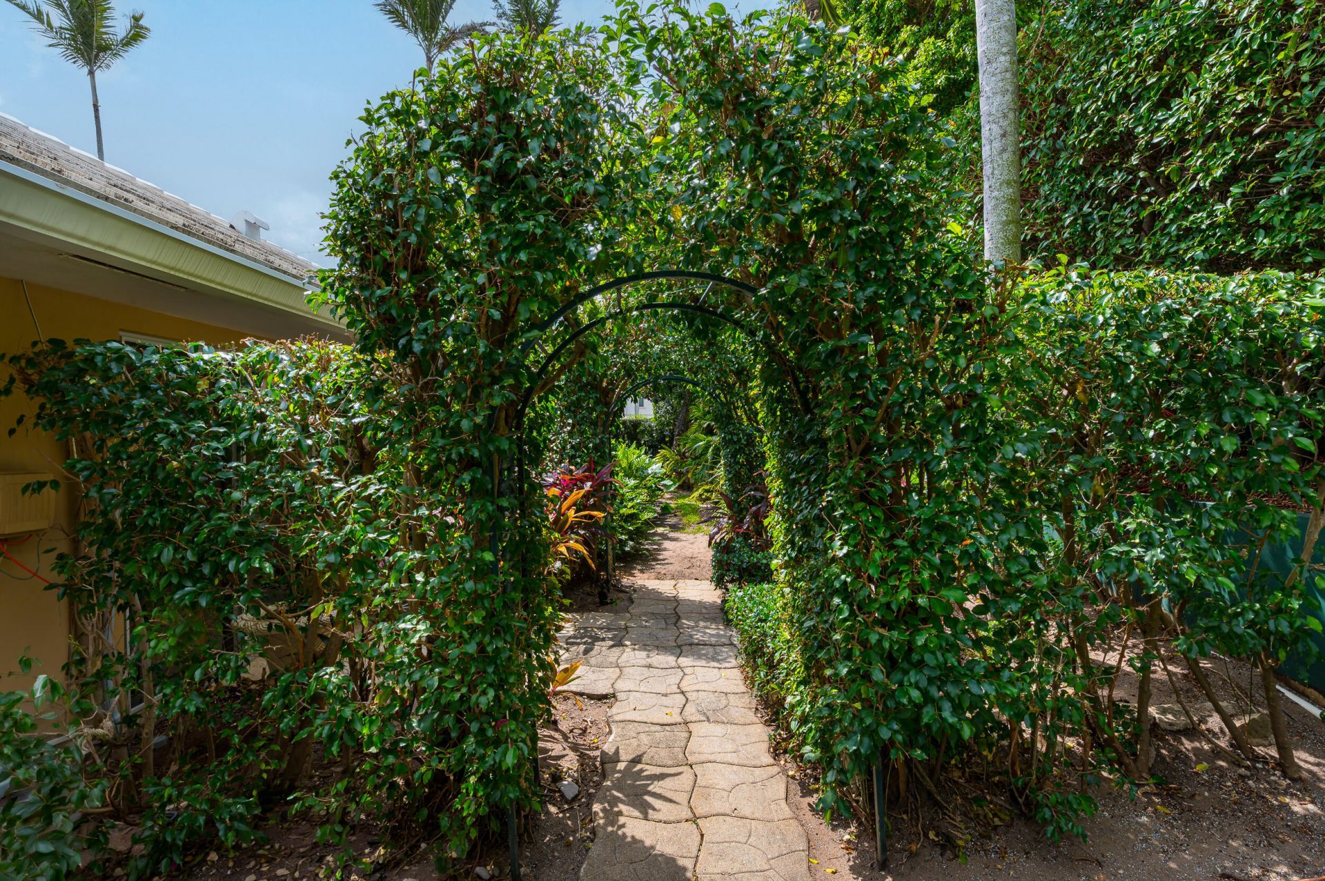 280 Tradewind Drive, Palm Beach, FL 33480 Photo