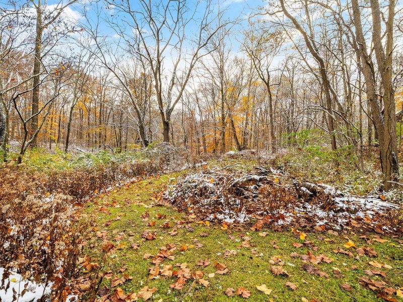 375 Home Road, Delaware, OH 43015 Photo 84