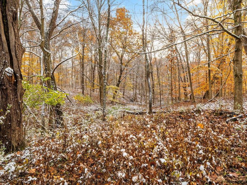 375 Home Road, Delaware, OH 43015 Photo 85