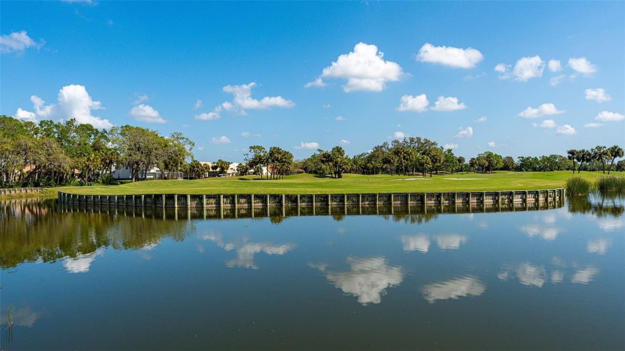 533 Fallbrook Drive, Venice, FL 34292 Photo