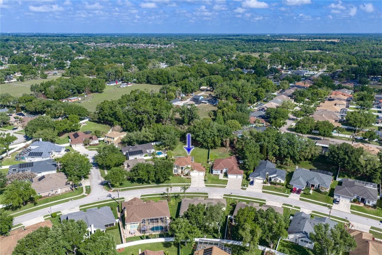 5104 Whispering Leaf Trail, Valrico, FL 33596 Photo