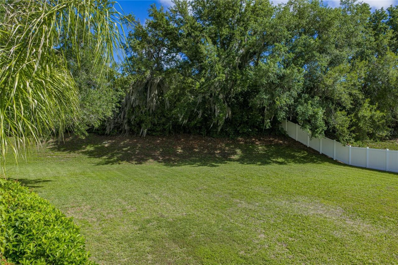 5104 Whispering Leaf Trail, Valrico, FL 33596 Photo