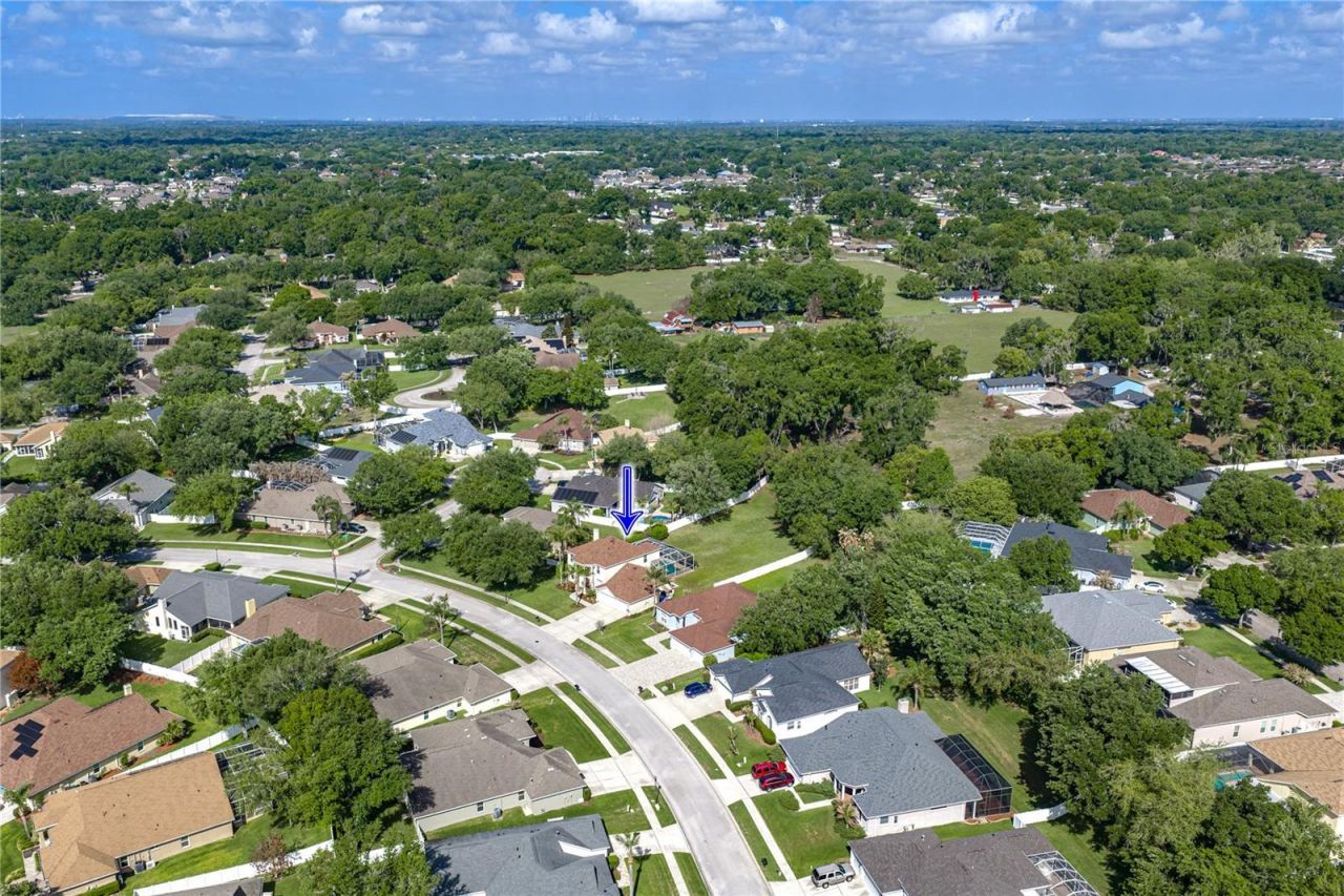 5104 Whispering Leaf Trail, Valrico, FL 33596 Photo