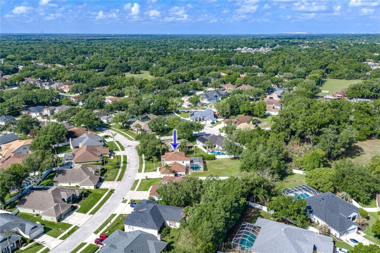 5104 Whispering Leaf Trail, Valrico, FL 33596 Photo