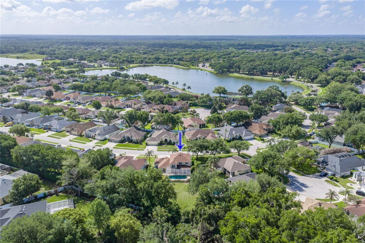 5104 Whispering Leaf Trail, Valrico, FL 33596 Photo
