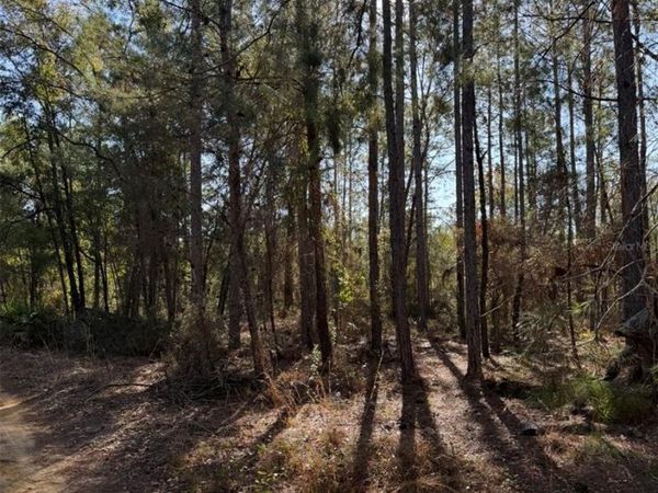 TBT 5TH WAY , INTERLACHEN, FL 32148